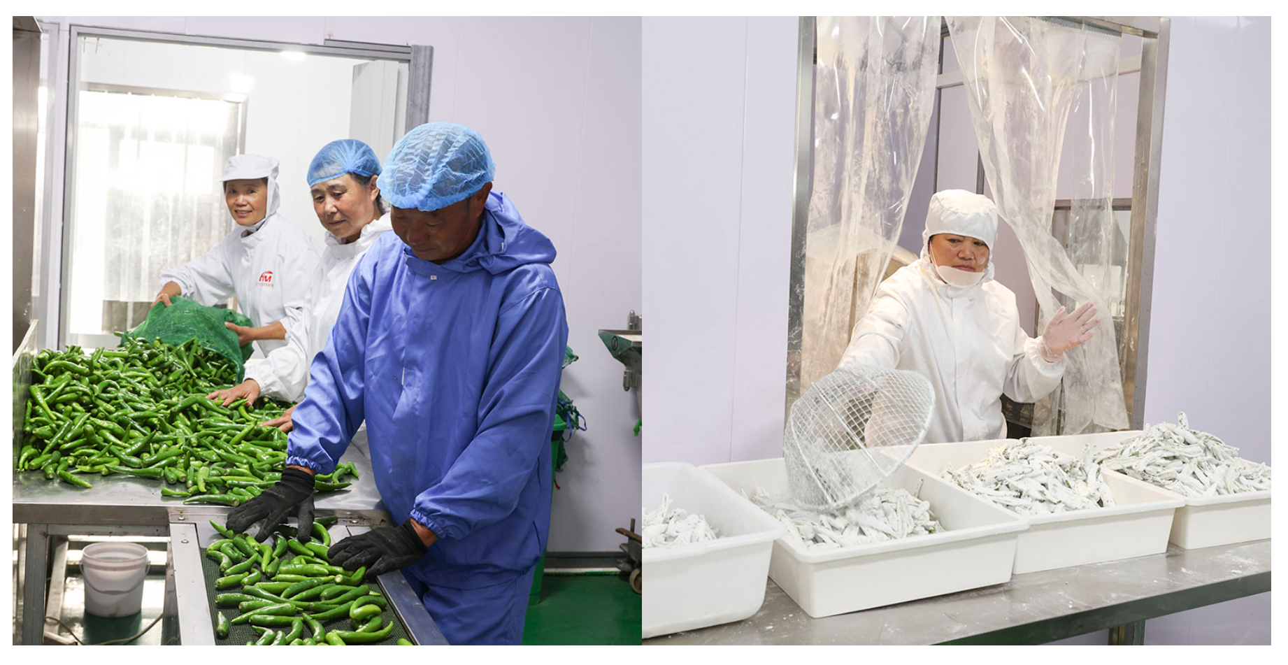 Fruit and Vegetable Chips