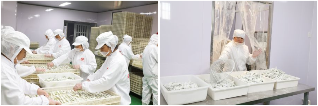 dehydrated organic potatoes