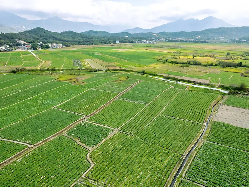 International Certification Helps Agricultural Products Open up the Market