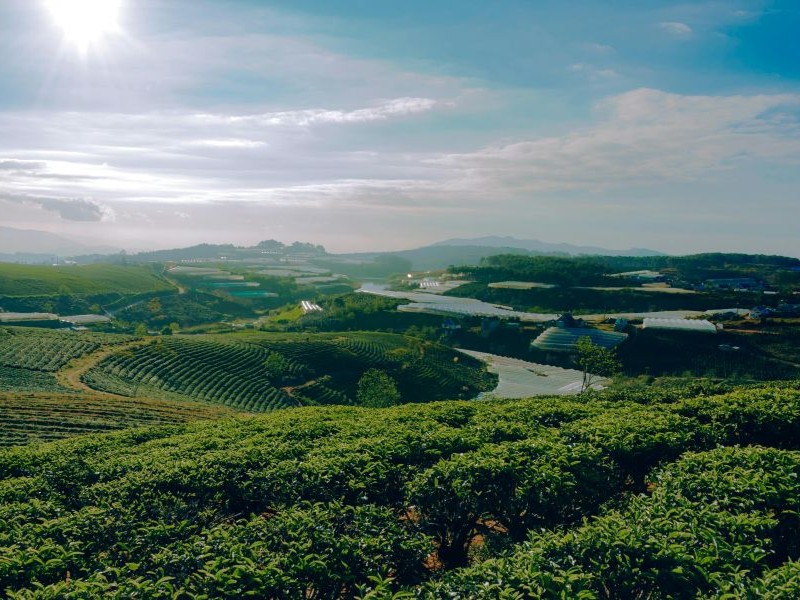 The Company Drives the Upgrading of Liaoning's Agricultural Exports