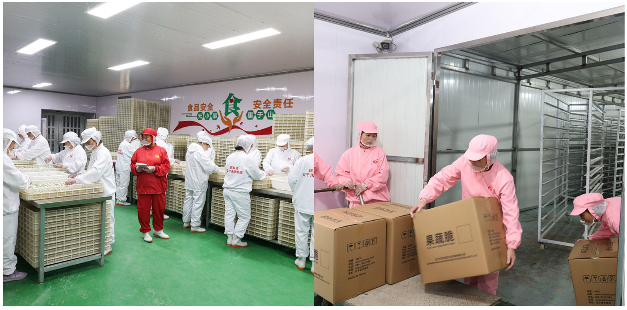 Mixed Fruit and Vegetable Chips