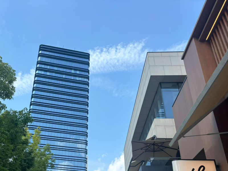 single silver Low-E glass