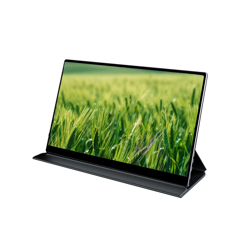 13.3 Inch 1080p VESA Hole Flat Studio Speaker LCD Gaming Portable Monitor For Laptop