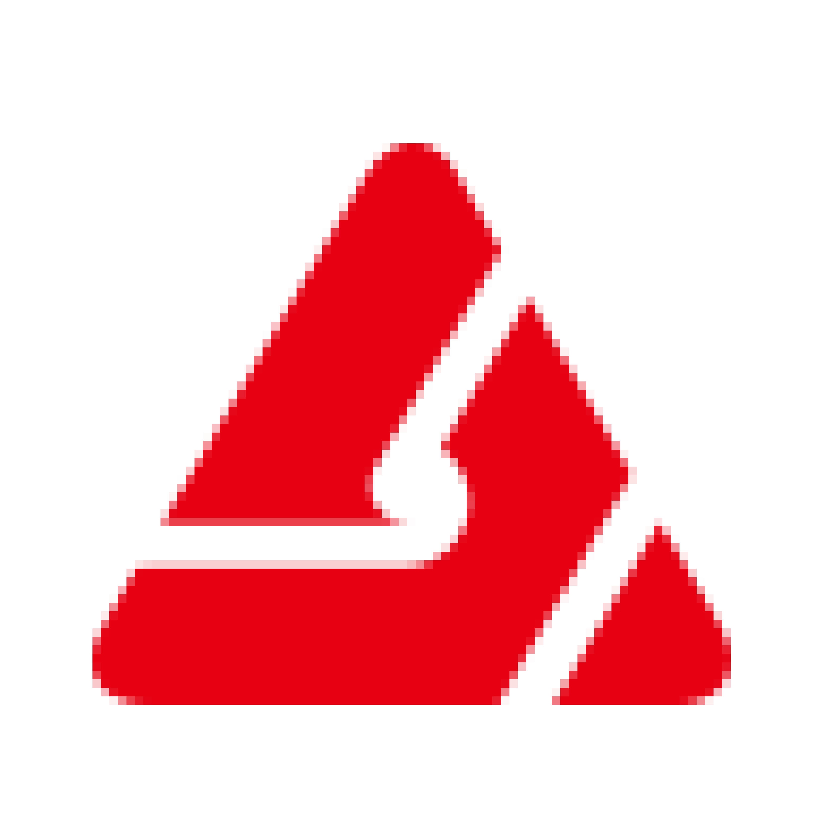 Shanghai Jiushi (Group) Co., Ltd.