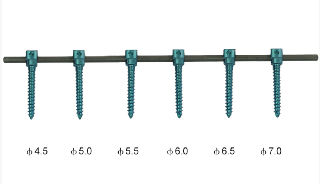 6.0 Spinal Pedicle Screw System 6.0 Spinal Pedicle Screw System