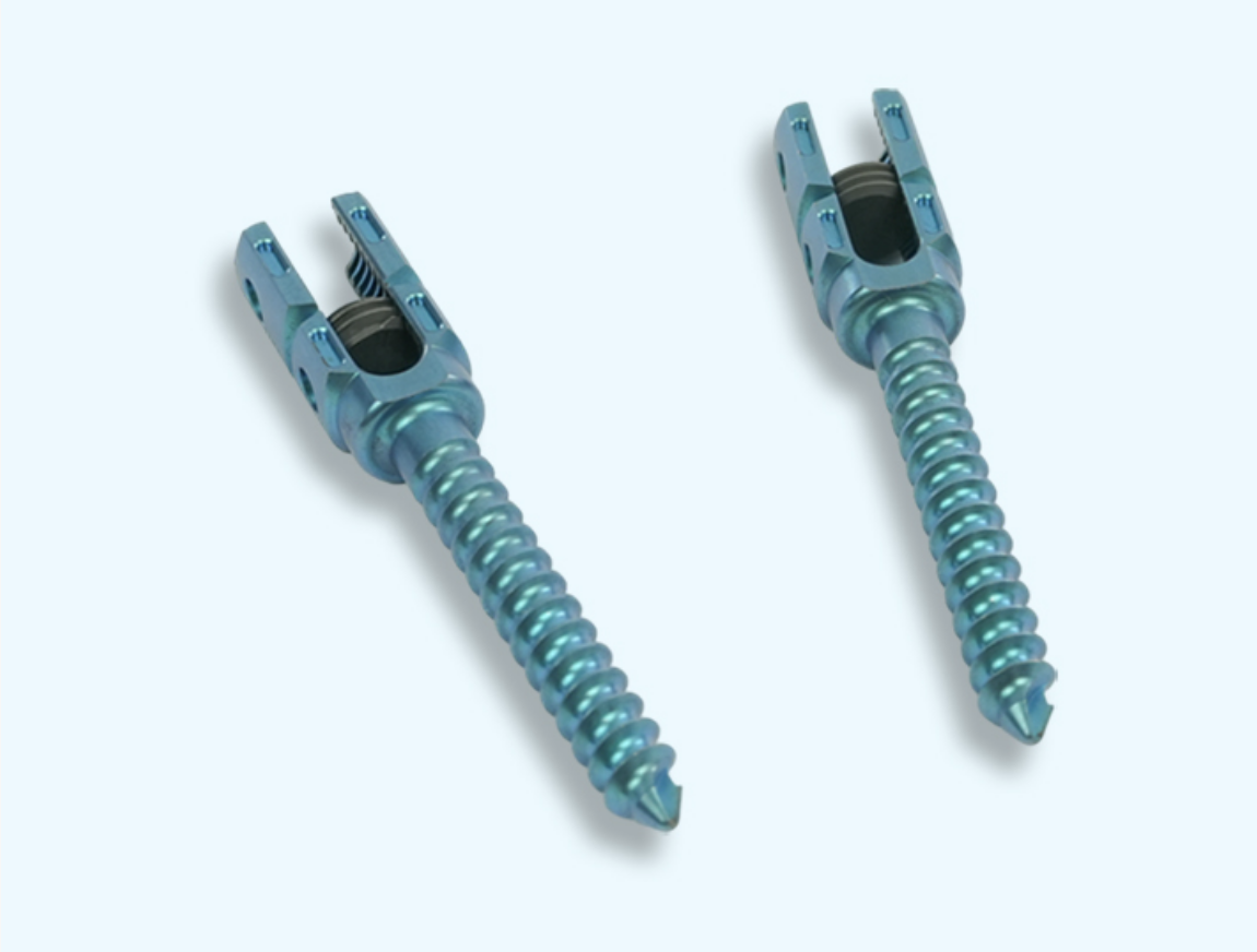 Spinal Fixation System Spinal Fixation System