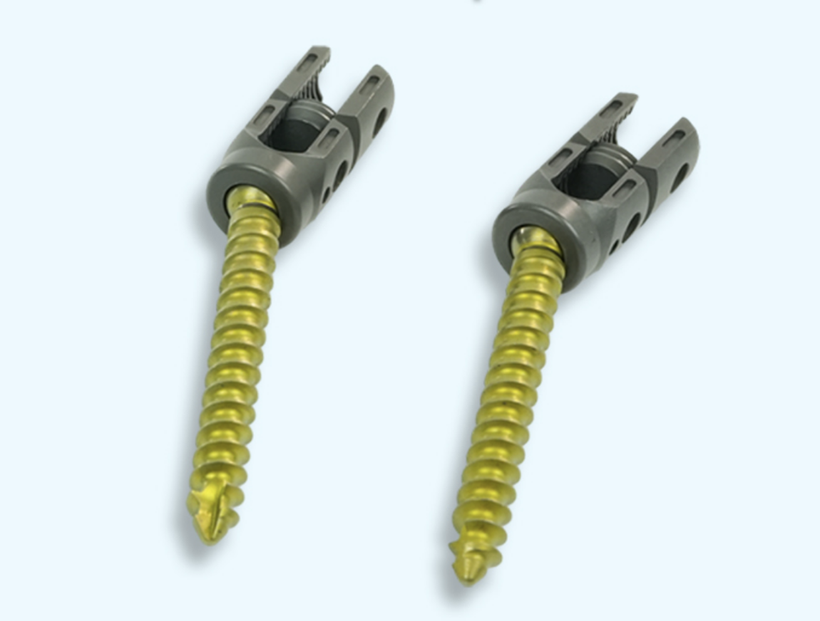Pedicle Screw System Pedicle Screw System