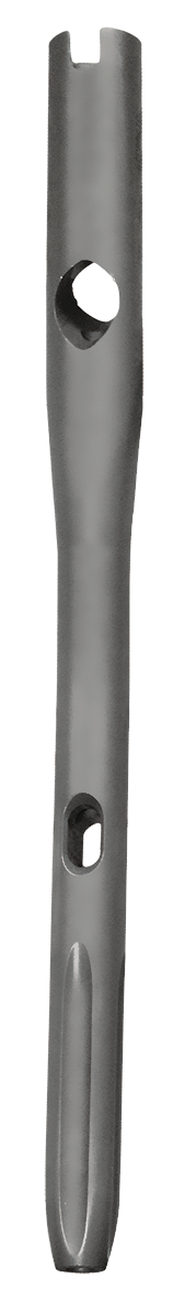 Proximal Femoral Nail Antirotation (PFNA)