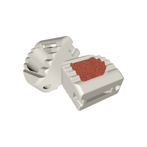 Cervical Fusion Cage System Interbody Spine Implant