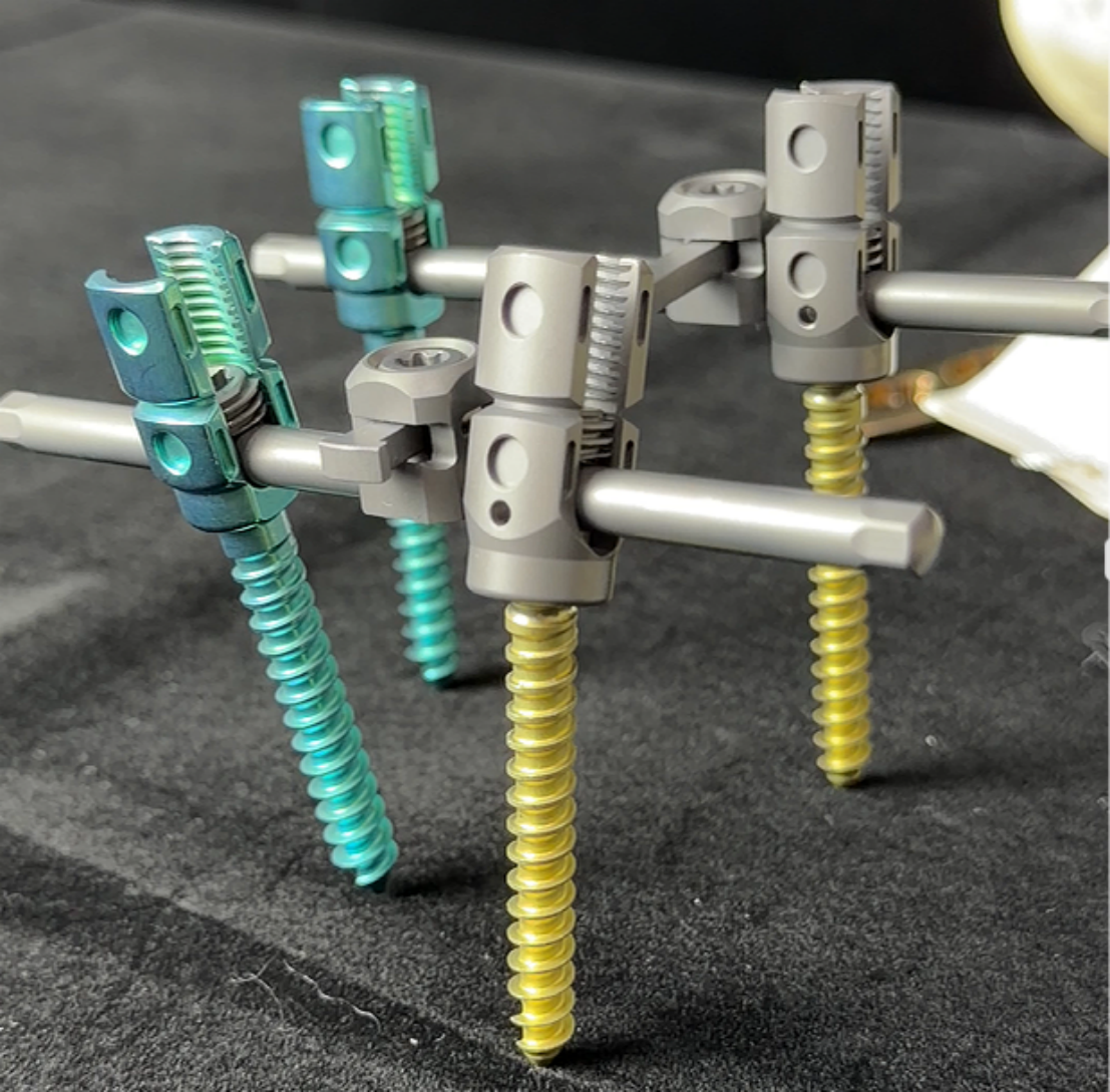 back fusion with cage