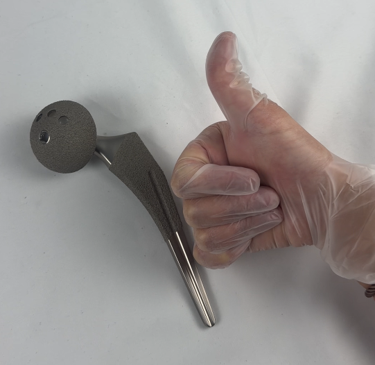 ceramic femoral head
