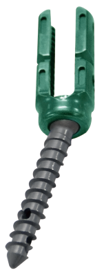 5.5 Multiaxial Cement-Augmented Screw