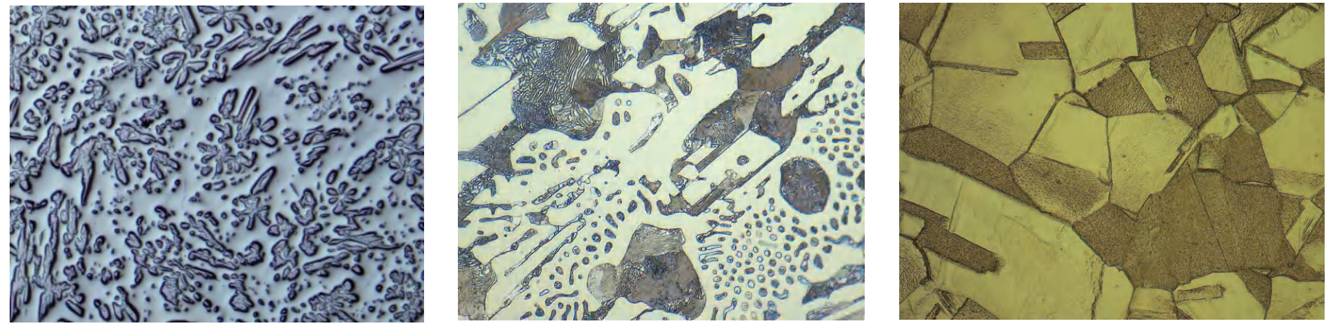 metallographic microscope for steel