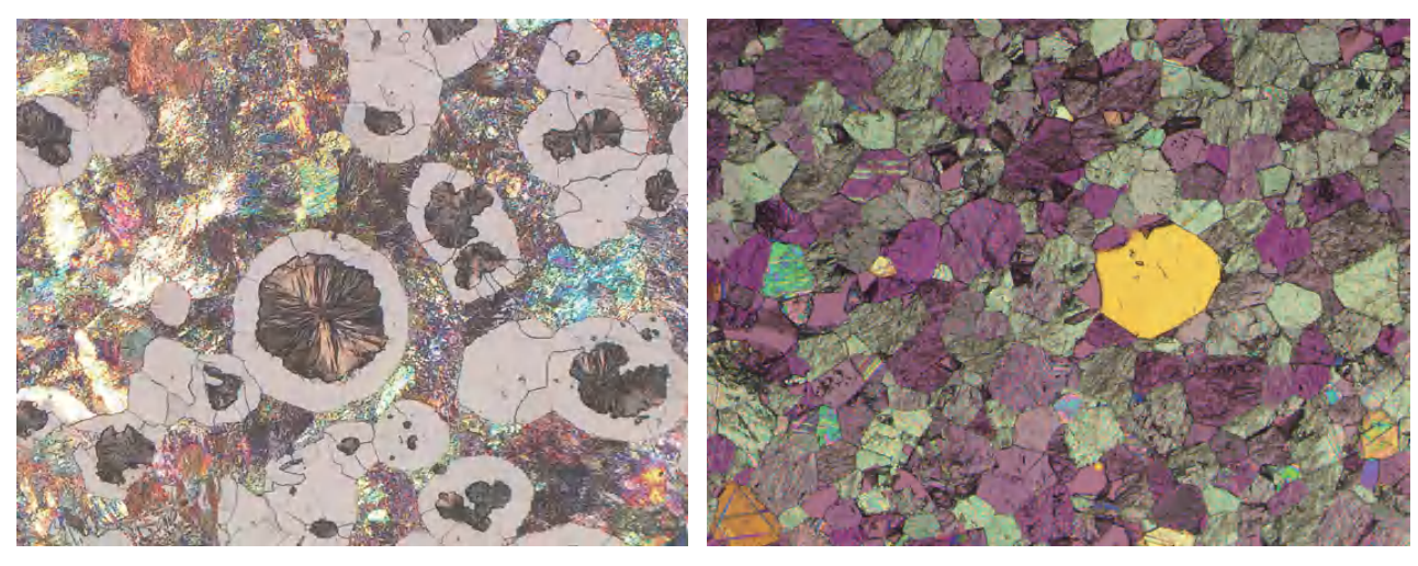 Polarizing Microscope CX43P/CX43MP & Fluorescence Microscope CX43Y/CX53Y Polarizing Microscope CX43P/CX43MP & Fluorescence Microscope CX43Y/CX53Y