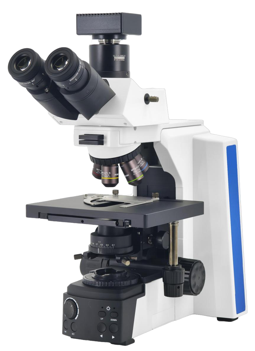 inverted biological microscope