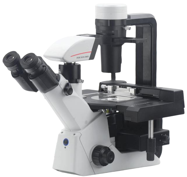 Biological Microscope CX Series