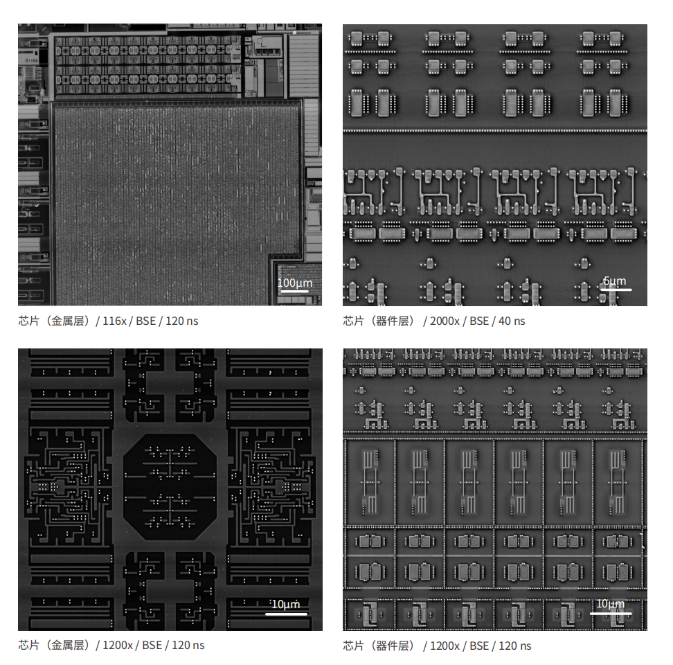 Low-Voltage High-Resolution SEM