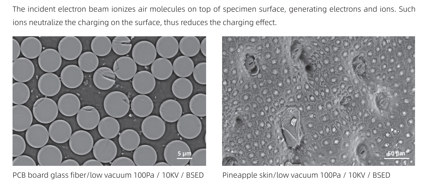 SEM-X Series Ultra-High Resolution Schottky Field Emission Scanning Electron Microscope SEM-X Series Ultra-High Resolution Schottky Field Emission Scanning Electron Microscope