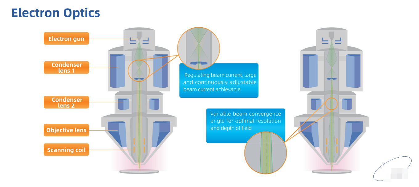 SEM-X Series Ultra-High Resolution Schottky Field Emission Scanning Electron Microscope SEM-X Series Ultra-High Resolution Schottky Field Emission Scanning Electron Microscope