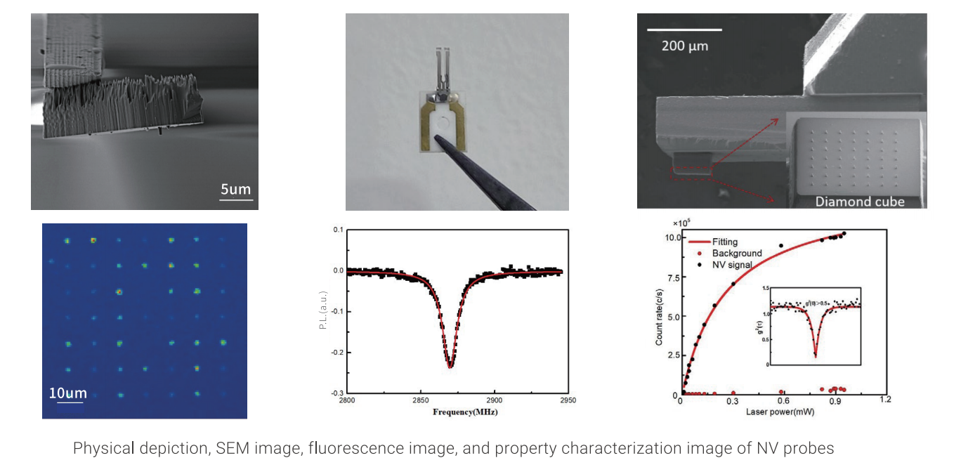 Scanning NV Microscope
