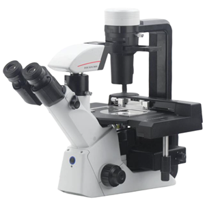 Applications of Scanning Electron Microscopes (SEM) in Advanced Material Research