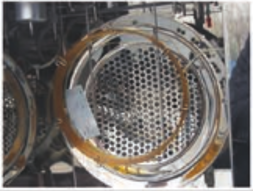 gas chromatograph for Ester
