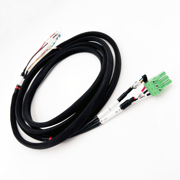 wire harness with ring terminal