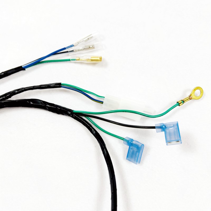 motorcycle wiring loom