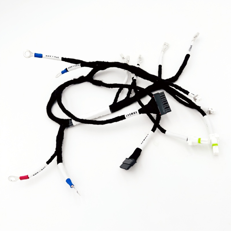 Custom Electric Vehicle Wiring Harness Cable Loom