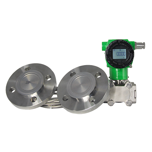 Dual-flange differential pressure level transmitter