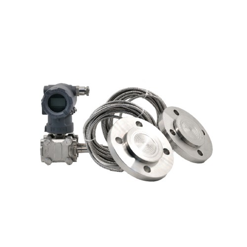 Basic Model - Dual-Flange Level Transmitter
