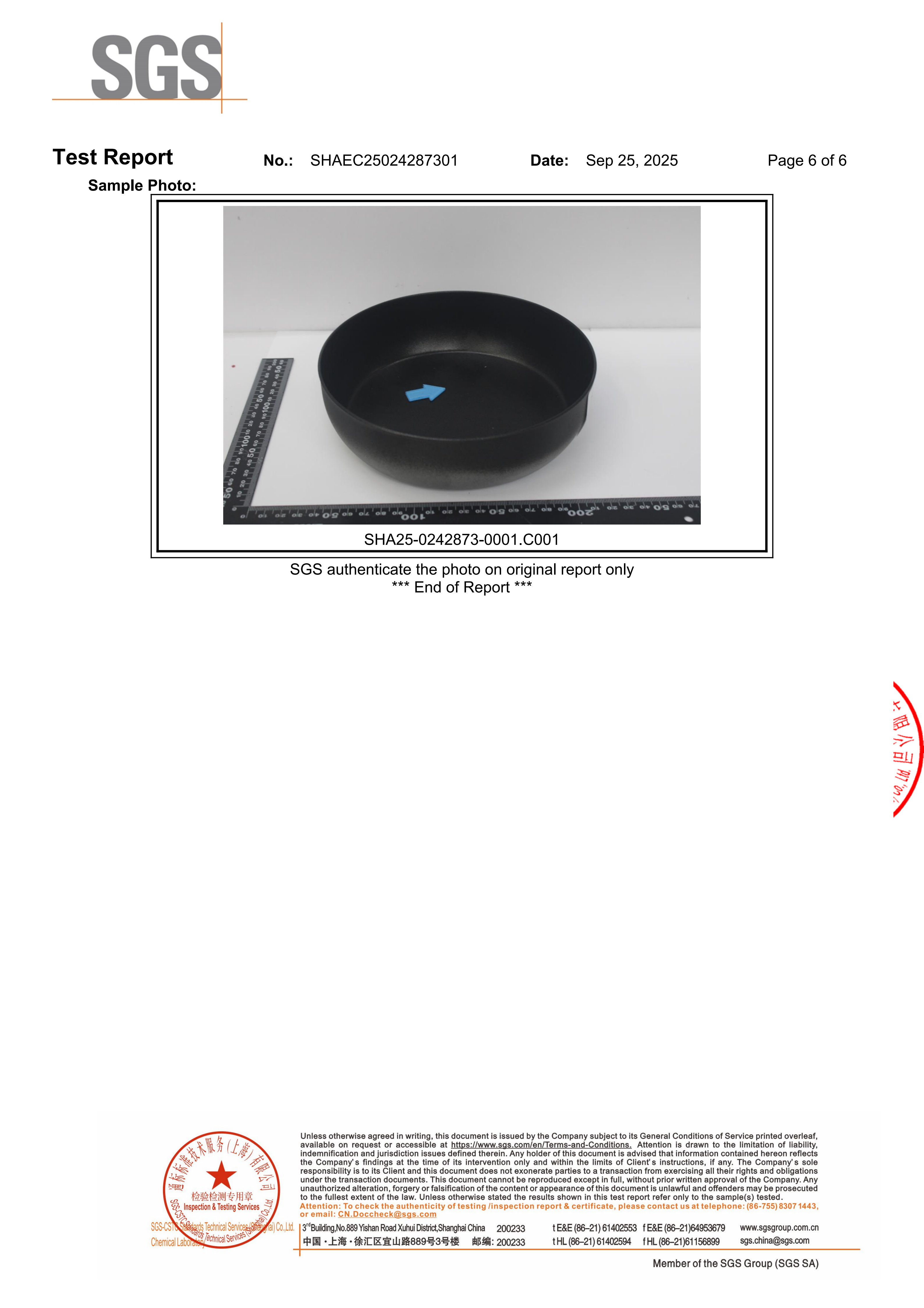 SGS Teflon Coating Test Report 6