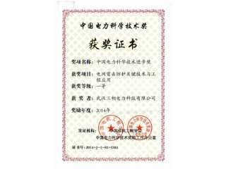 First Prize in China Power Science & Technology Advancement