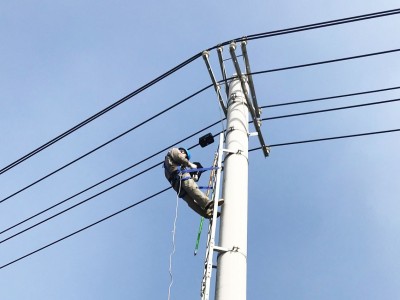 Distribution Network Fault Diagnosis Integrated Solutions