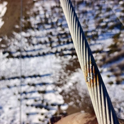 Wind Farm Collector Line Tripping Diagnosis Case