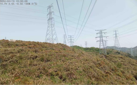 Overhead Line Wildfire Fault Diagnosis Case