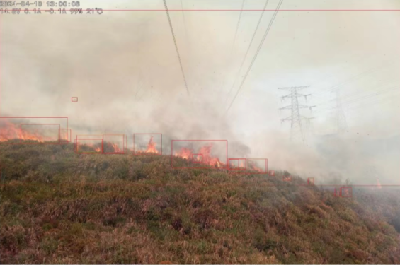 Overhead Line Wildfire Fault Diagnosis Case