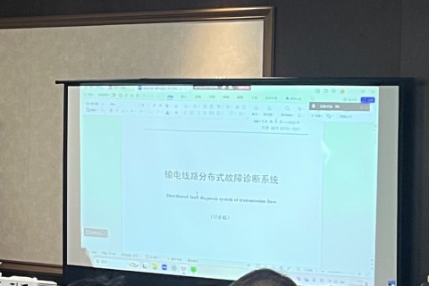 Discussion Meeting on National Standard Distributed Fault Diagnosis System of Transmission Lines Successfully Held in Wuhan