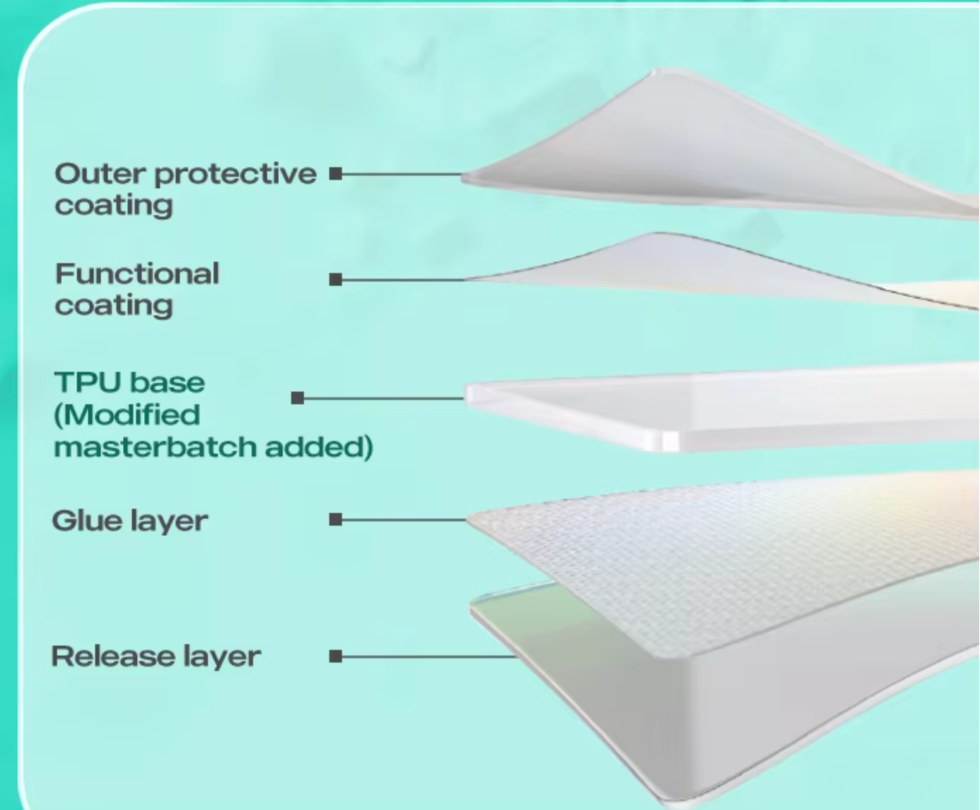 paint protection film on headlights