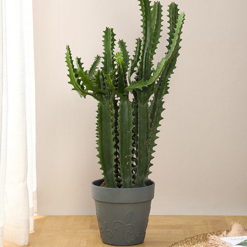 Classic Mathilda Traditional Step Planter