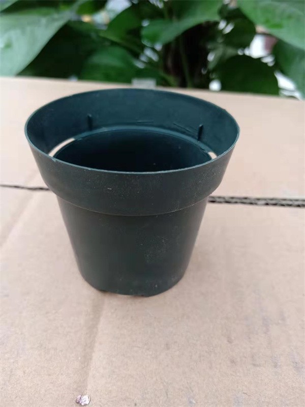 Small Nursery Pot