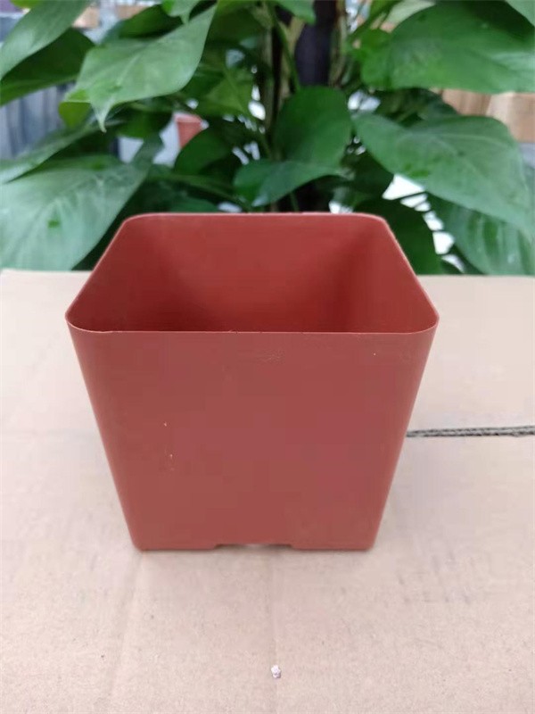 Small Nursery Pot