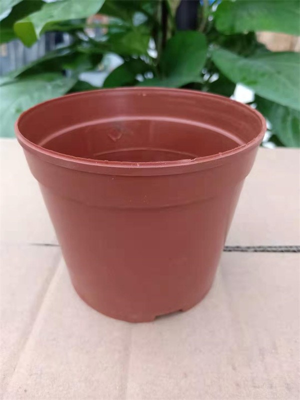 Small Nursery Pot