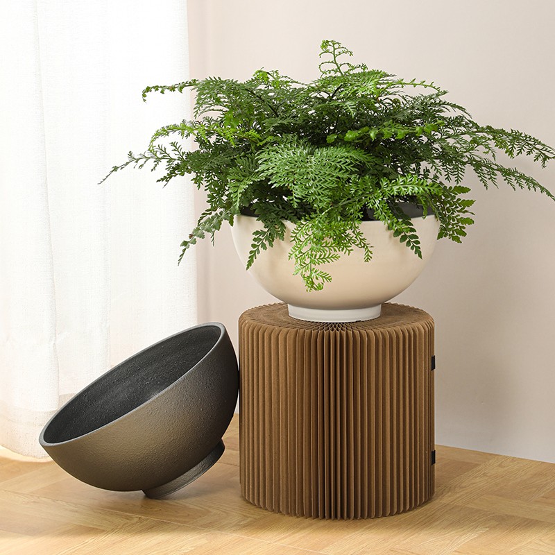 Cement Bowl Planter