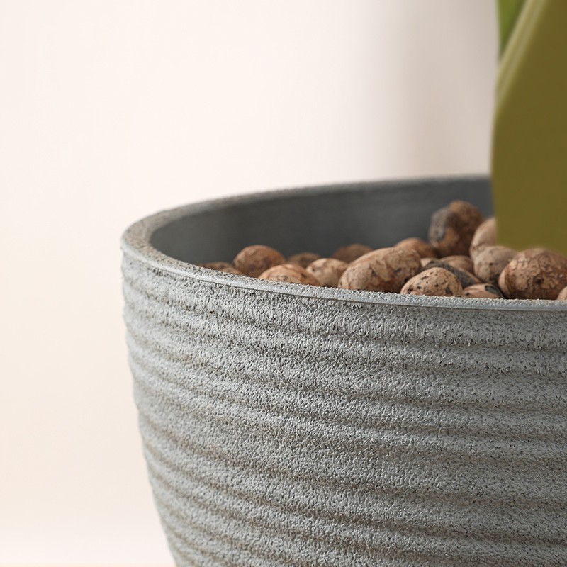Cement Bowl Planter