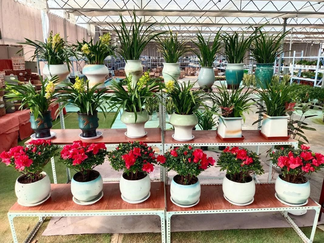 Garden Vessels Sets New Standards in Eco-Friendly Plant Pot Manufacturing