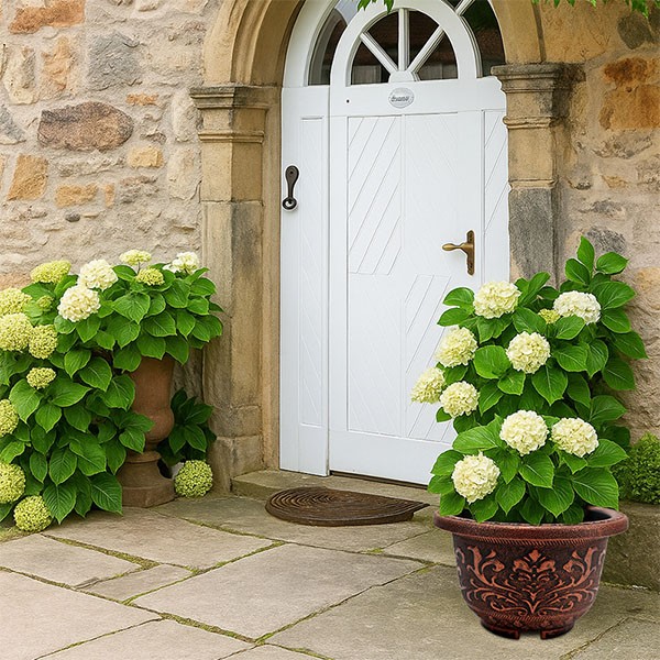 European Pattern Antique Brass Planter
