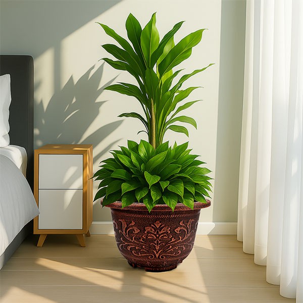 European Pattern Antique Brass Planter