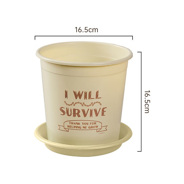 Colored Gallon Planter