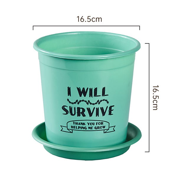 Colored Gallon Planter